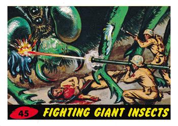 Fighting Giant Insects