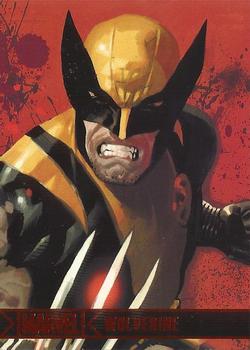 Wolverine