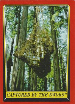 Captured by the Ewoks 