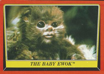 The Baby Ewok 