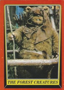 The Forest Creatures 