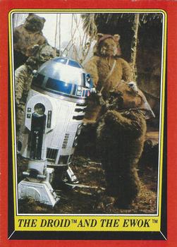 The Droid and the Ewok 
