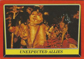 Unexpected Allies 