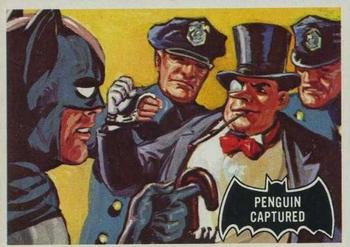 Penguin Captured