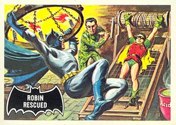 Robin Rescued