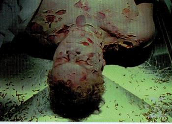 Victim of Vengeance