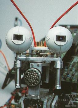 Robotic Insect