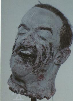 Decapitation Sculptings