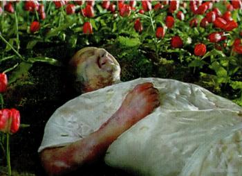 Bruckman's Decomposition