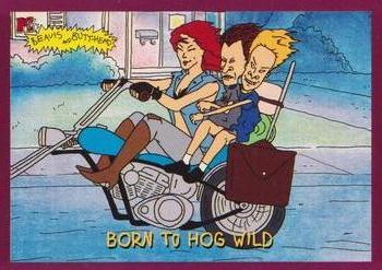Born to Hog Wild 