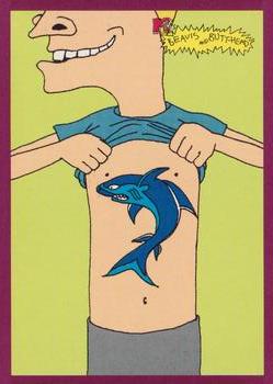 Shark 