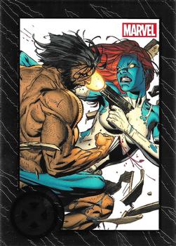 Wolverine / Mystique 