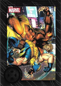Wolverine / Sabretooth 