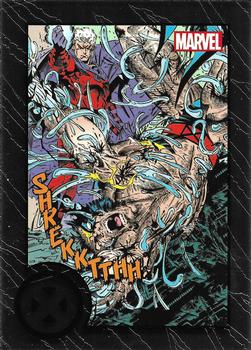 Wolverine / Magneto 