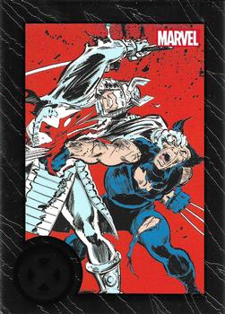 Wolverine / Silver Samurai 
