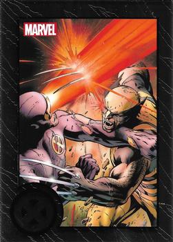 Wolverine / Cyclops 