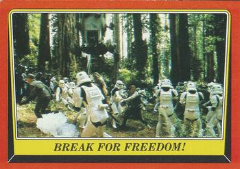 Break for Freedom! 