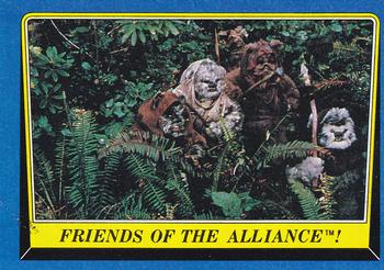 Friends of the Alliance 
