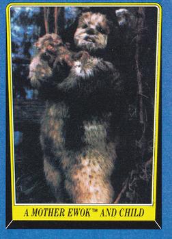 A Mother Ewok and Child 