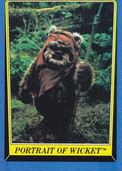 Portrait of Wicket 