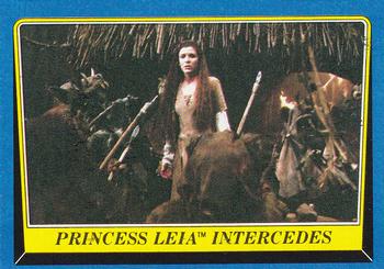Princess Leia Intercedes 