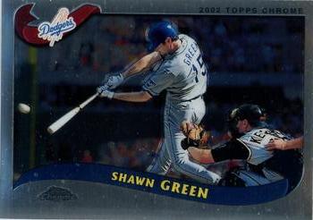 Shawn Green