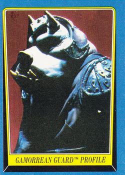 Gamorrean Guard Profile 