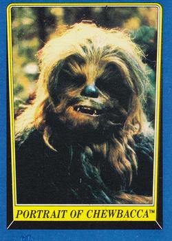 Portrait of Chewbacca 