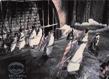 Penguins, penguins everywhere! Hundreds were 