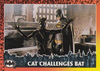 Cat Challenges Bat 