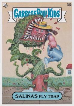 Salinas Fly Trap