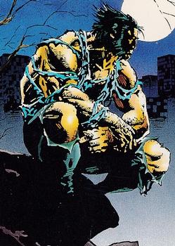Wolverine