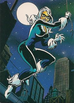 Black Cat