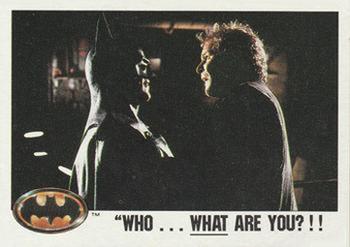 Who... What Are You?!!