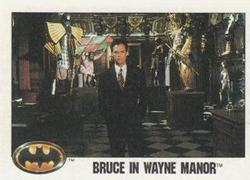 Bruce in Wayne Manor