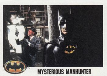 Mysterious Manhunter