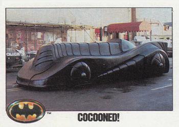 Cocooned!