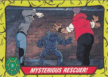 Mysterious Rescuer!