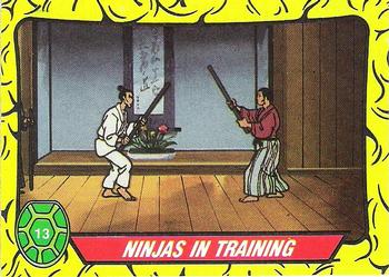 Ninjas in Training