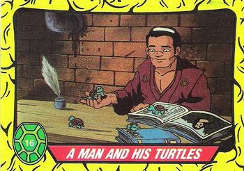 A Man and His Turtles