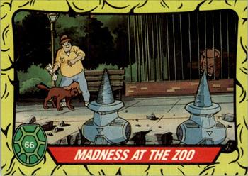 Madness at the Zoo!
