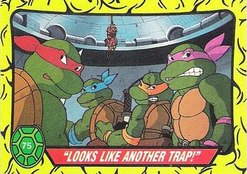 "Looks Like Another Trap!"