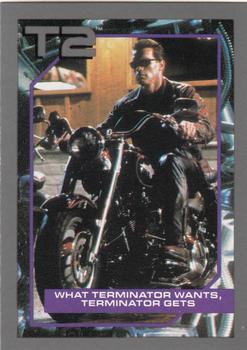 What Terminator Wants, Terminator Gets