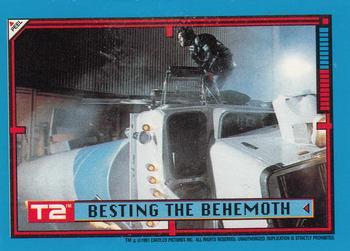 Besting the Behemoth