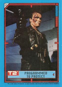 Programmed To Protect