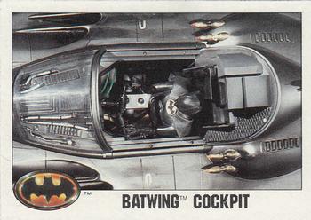 Batwing Cockpit