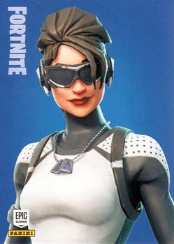 Arctic Assassin