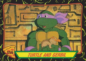 Turtle and Gerbil