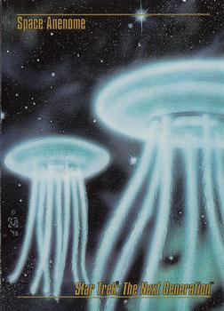 Space Anenome