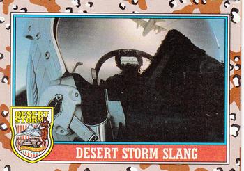 Desert Storm Slang